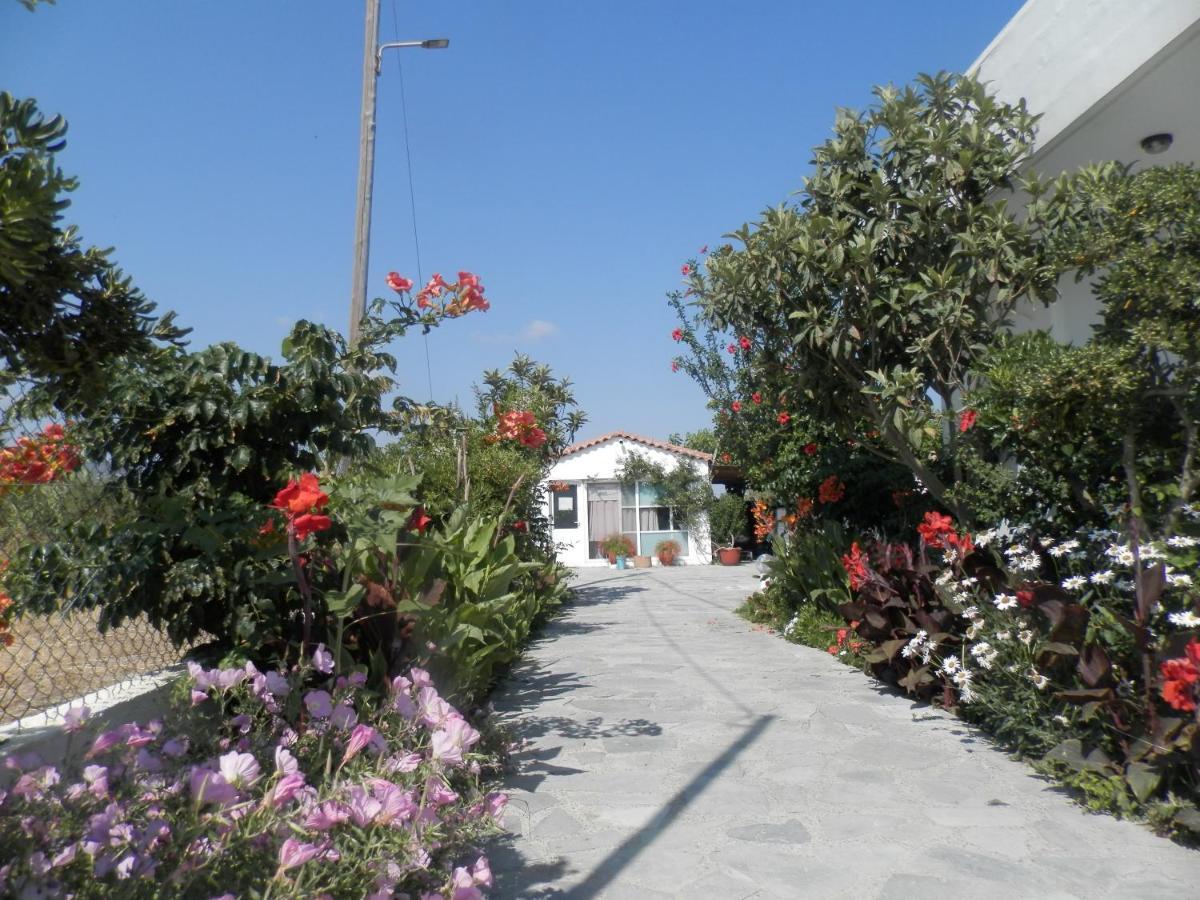 Silvi Mari Apartments Platanes  Luaran gambar