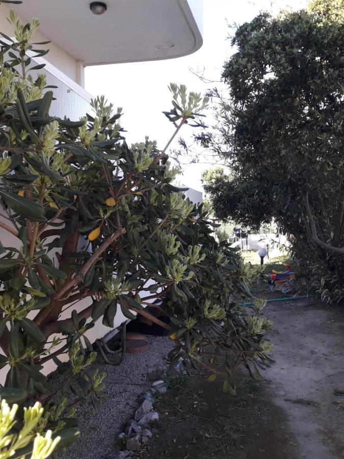 Silvi Mari Apartments Platanes  Luaran gambar